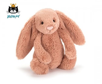 Jellycat 害羞杏色邦尼兔(小号:18厘米) Jellycat 害羞杏色邦尼兔(小号:18厘米)